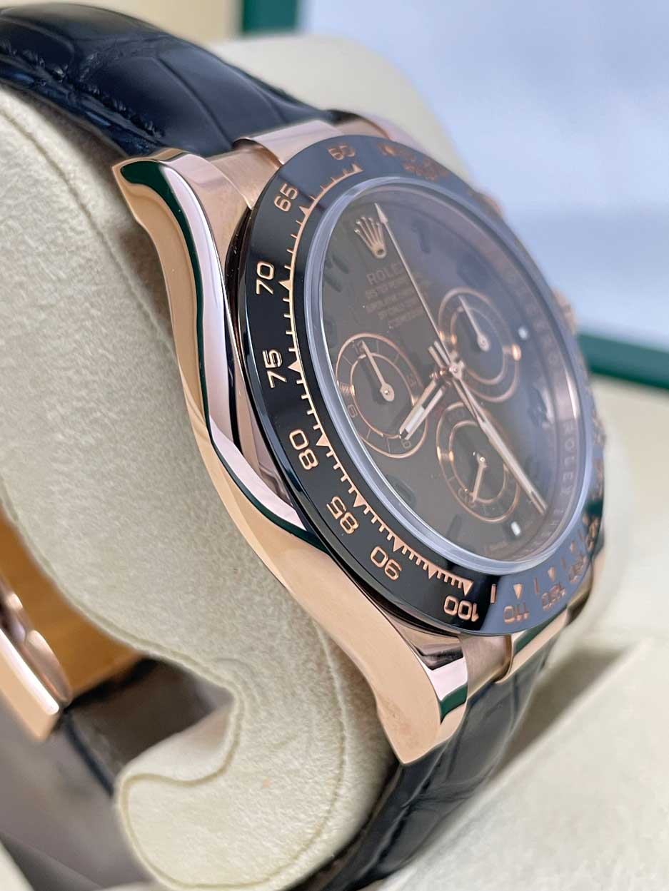Rolex Daytona Everose Gold Chocolate