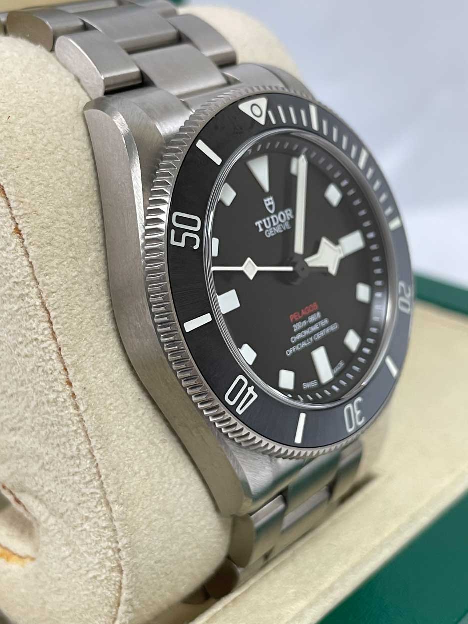 Tudor Pelagos 25407n