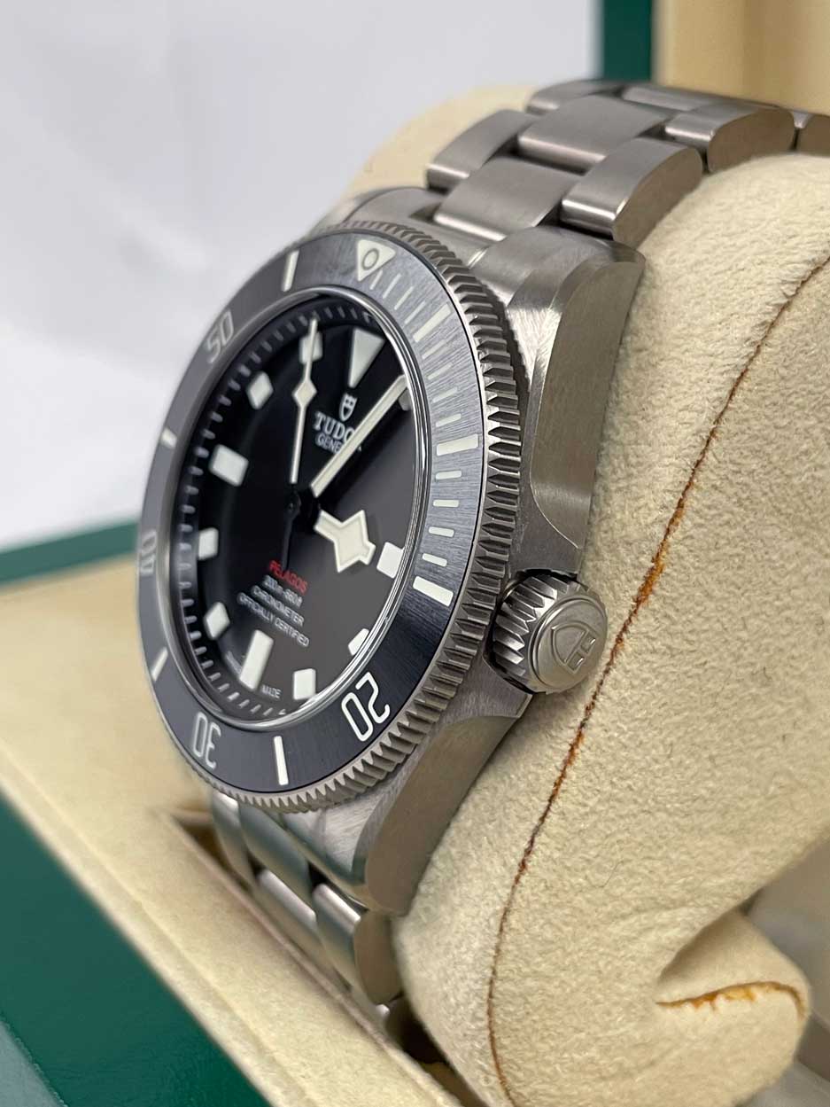 Tudor Pelagos 25407n