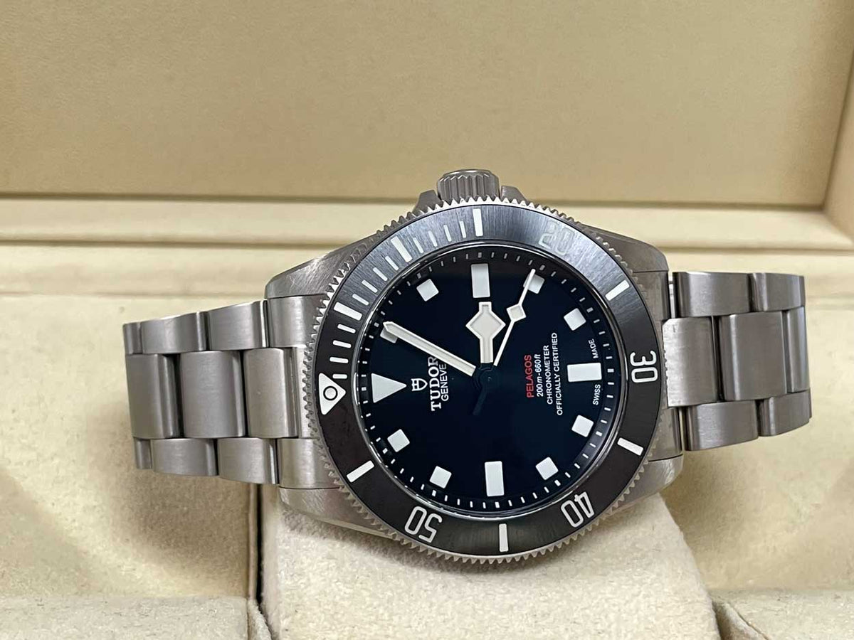 Tudor Pelagos 25407n