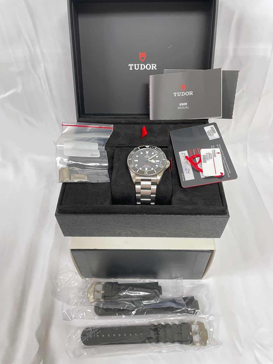 Tudor Pelagos 25407n