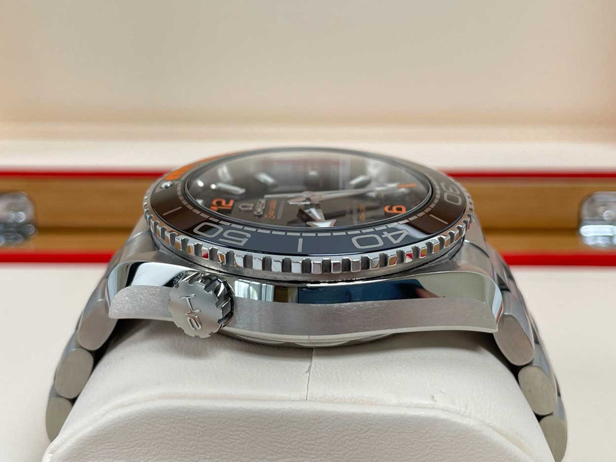 Omega Planet Ocean 600m Co-Axial Master Chronometer 43.5mm