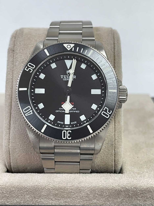 Tudor Pelagos 25407n